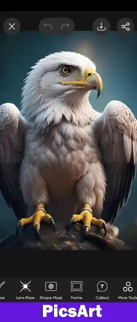 Download PicsArt MOD APK v29.9.6 (Premium and Gold Unlocked) 4 PicsArt amazing tool screenshots