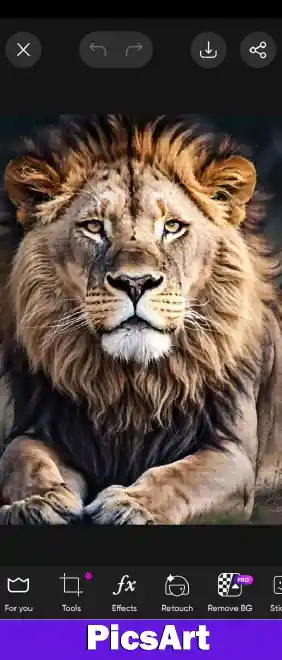 Download PicsArt MOD APK v29.9.6 (Premium and Gold Unlocked) 10 lion image edit in picsart